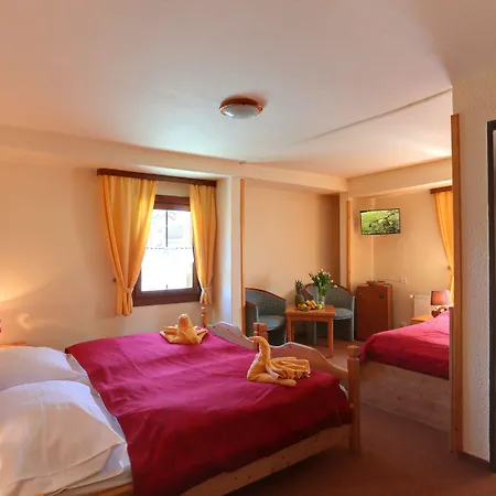 Hotel Zeleny Dum Boží Dar
