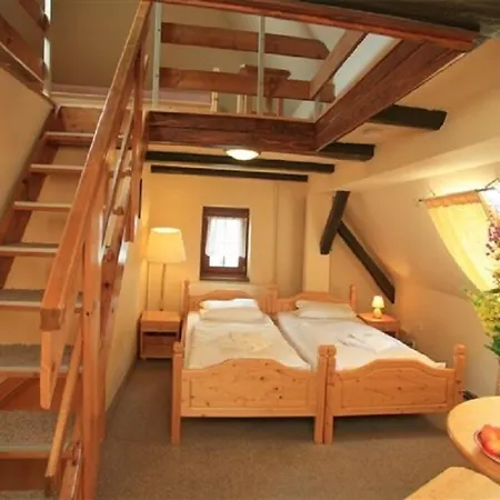 Hotel Zeleny Dum 3*