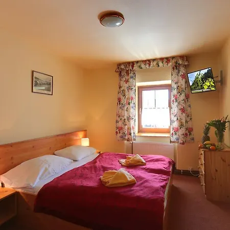 Hotel Zeleny Dum 3*