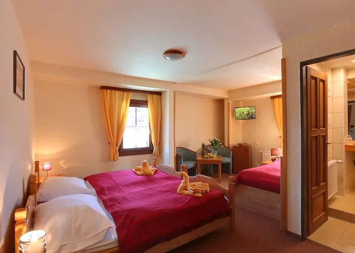 Hotel Zelený Dům Boží Dar