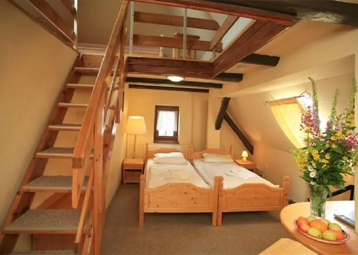 Hotell Zeleny Dum 3*