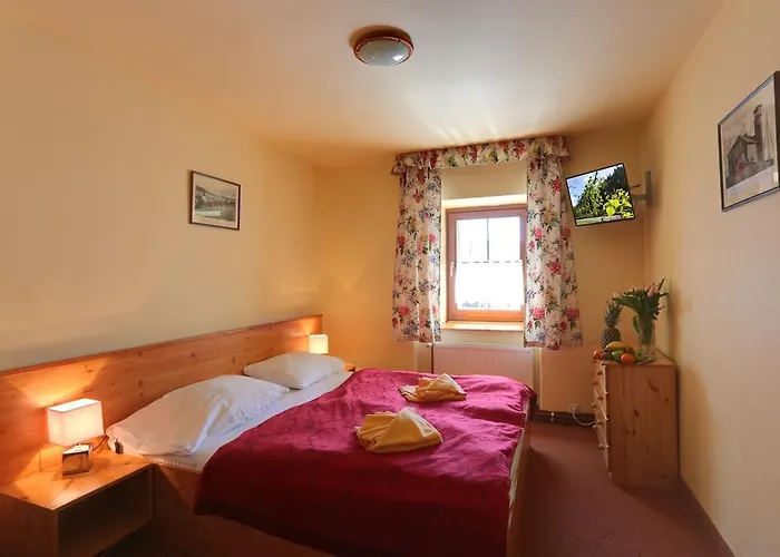 Hotell Zeleny Dum 3*